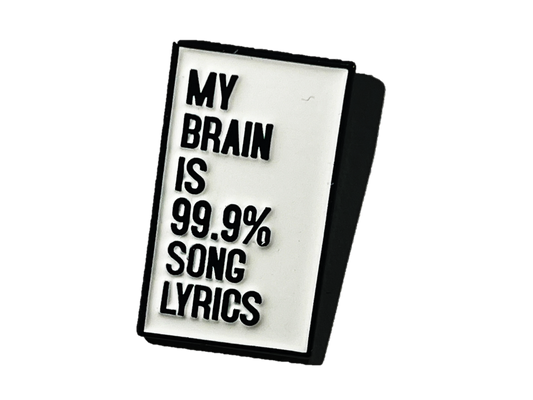 My brain is 99.9% song lyrics