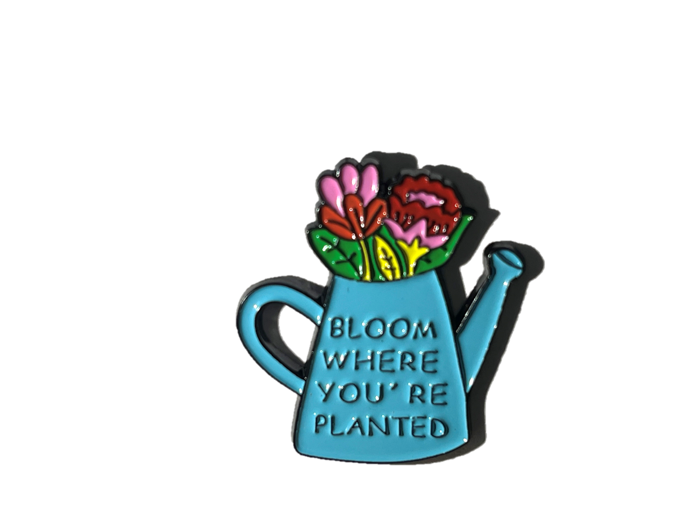 Bloom where you are planted