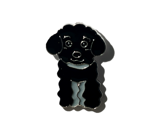 French Poodle Negro